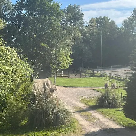 לינה וארוחת בוקר Ranch B & Nibionno